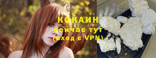 шишки Гатчина